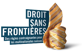 Logo Droits sans Frontièes